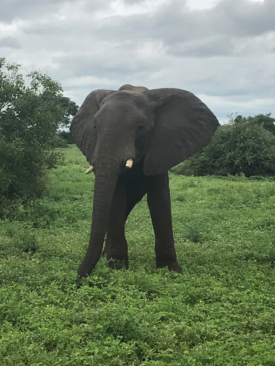 AC41687D-ECBE-4DBD-AFBE-DA210431C5C5