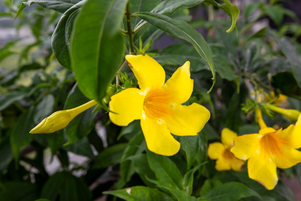 hong kong - macau-50