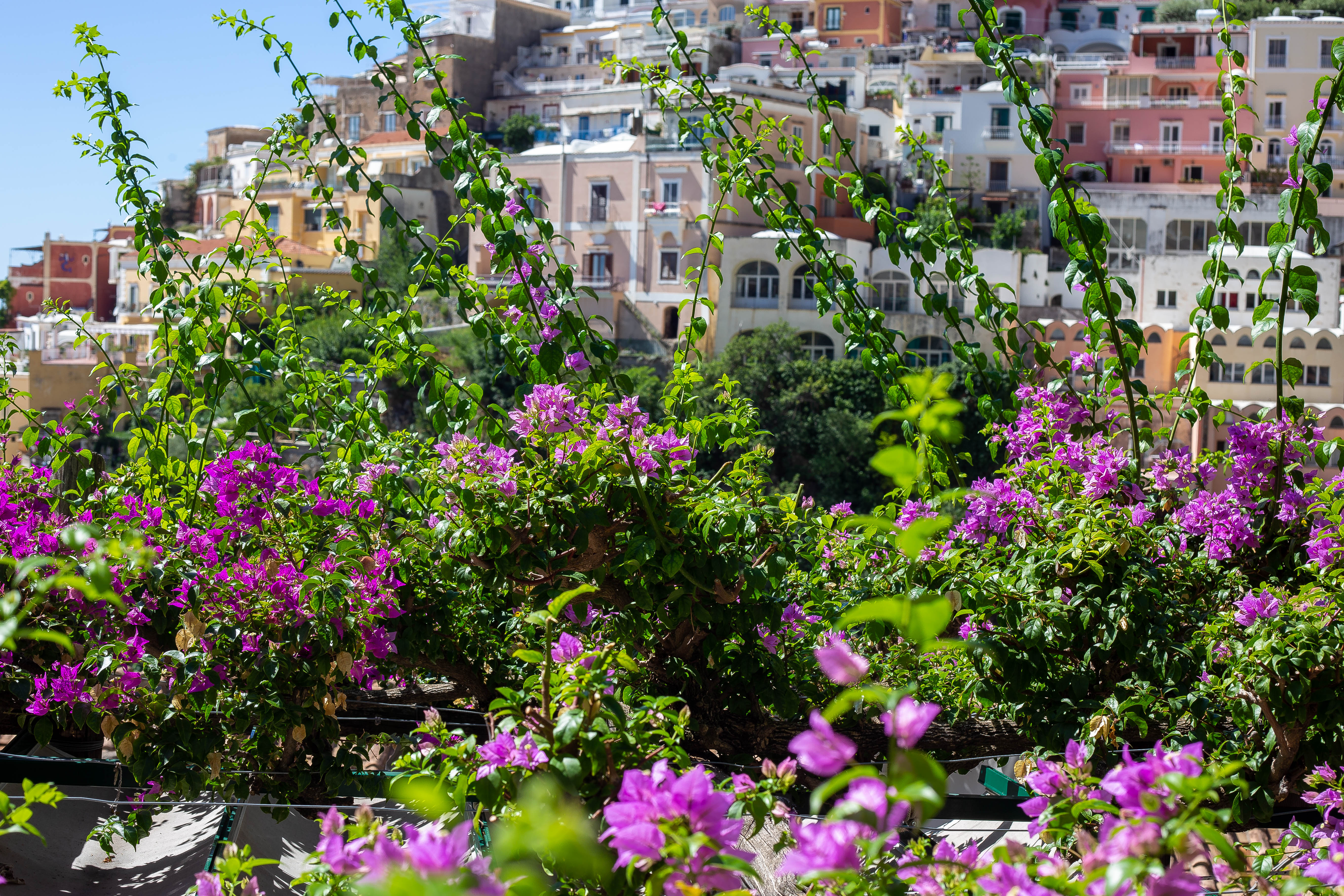 amalfi sept 2022-408